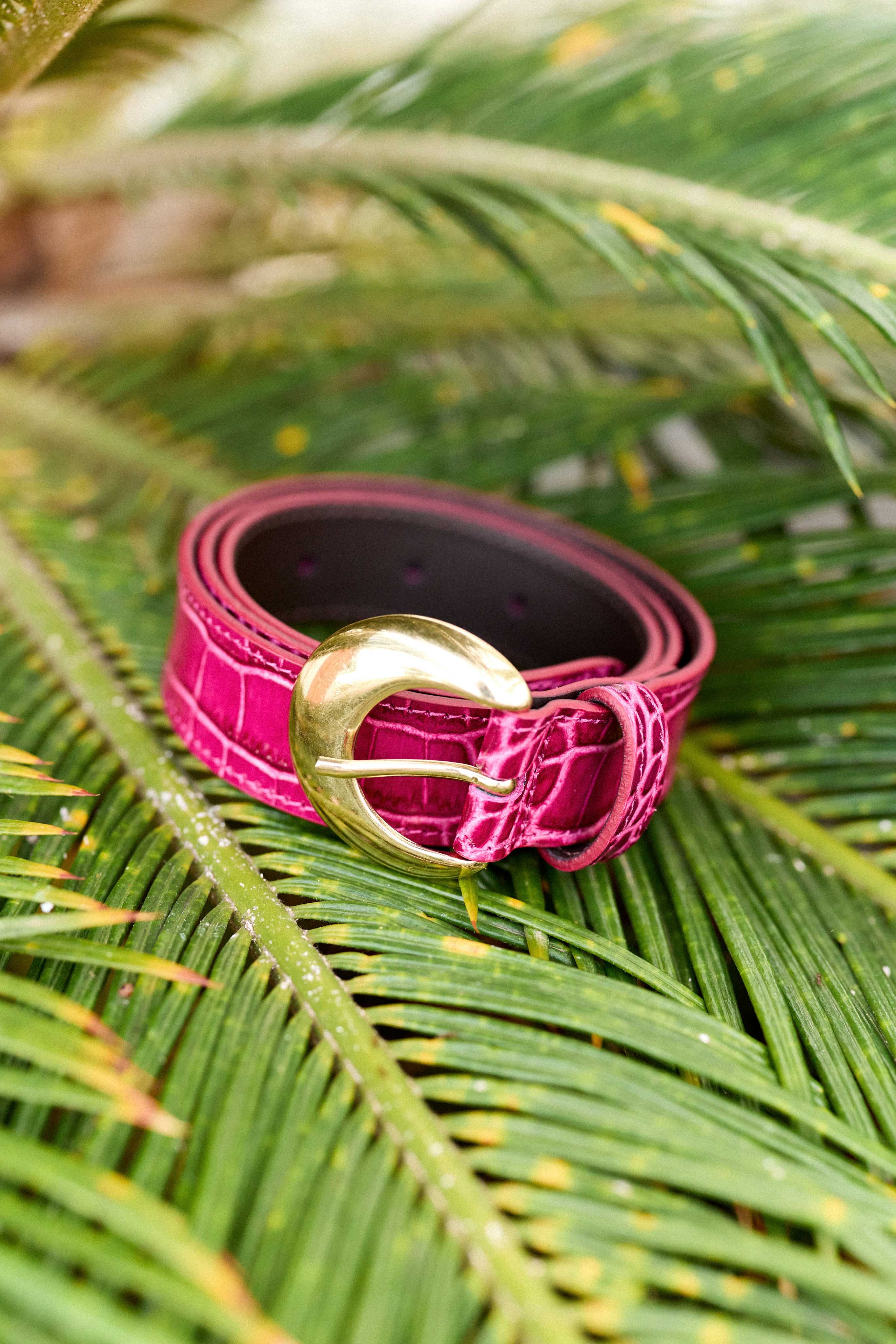 Fuchsia crocodile leather belt - Aiden