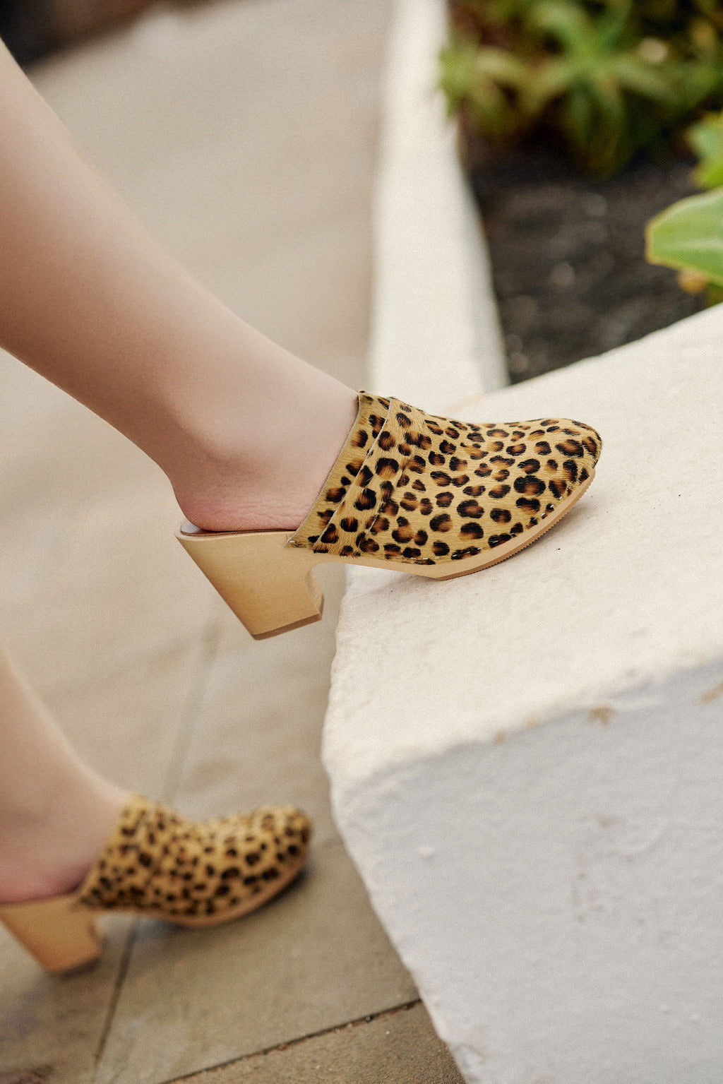 Leopard leather clogs - Gabriel