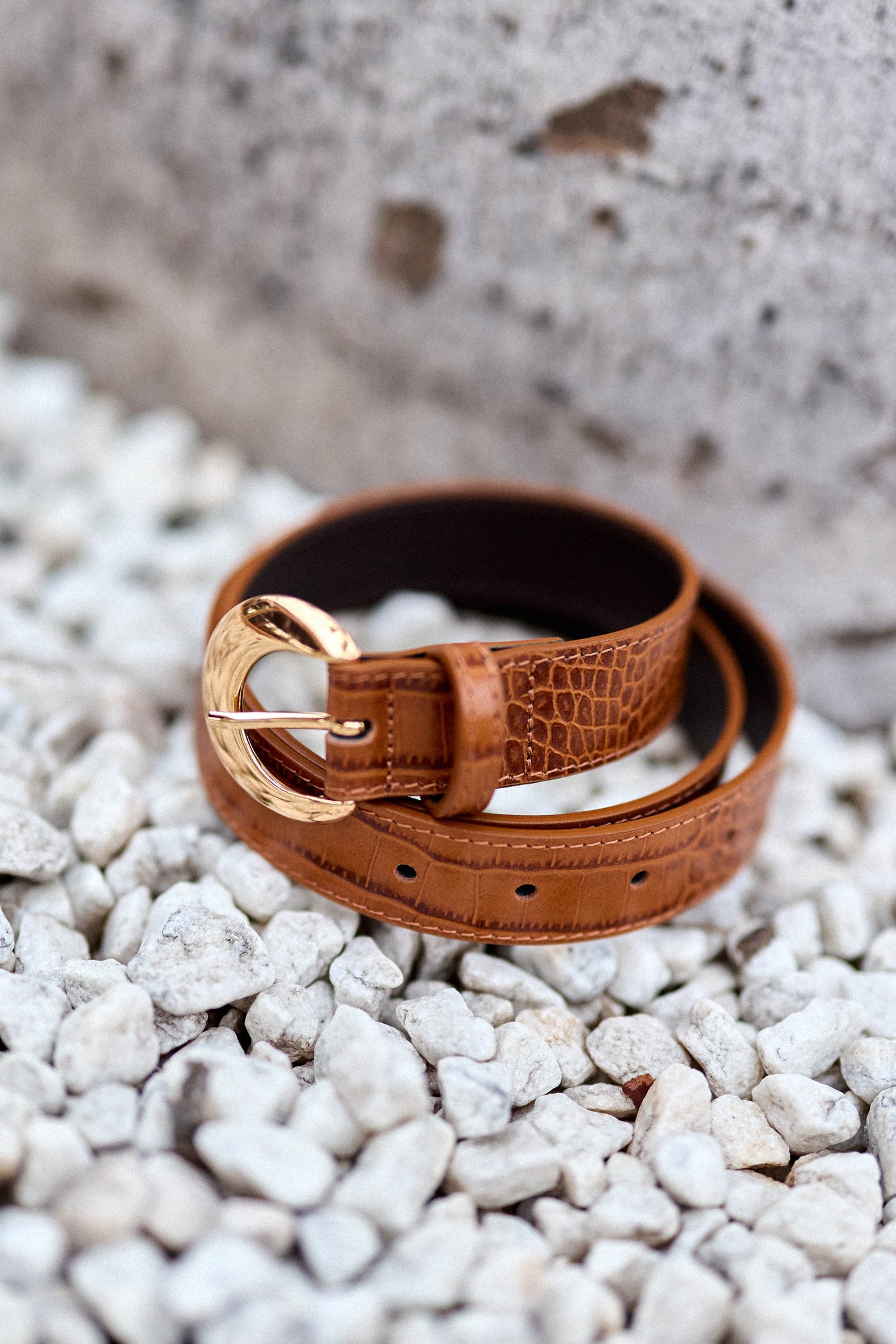 Camel crocodile leather belt - Aiden