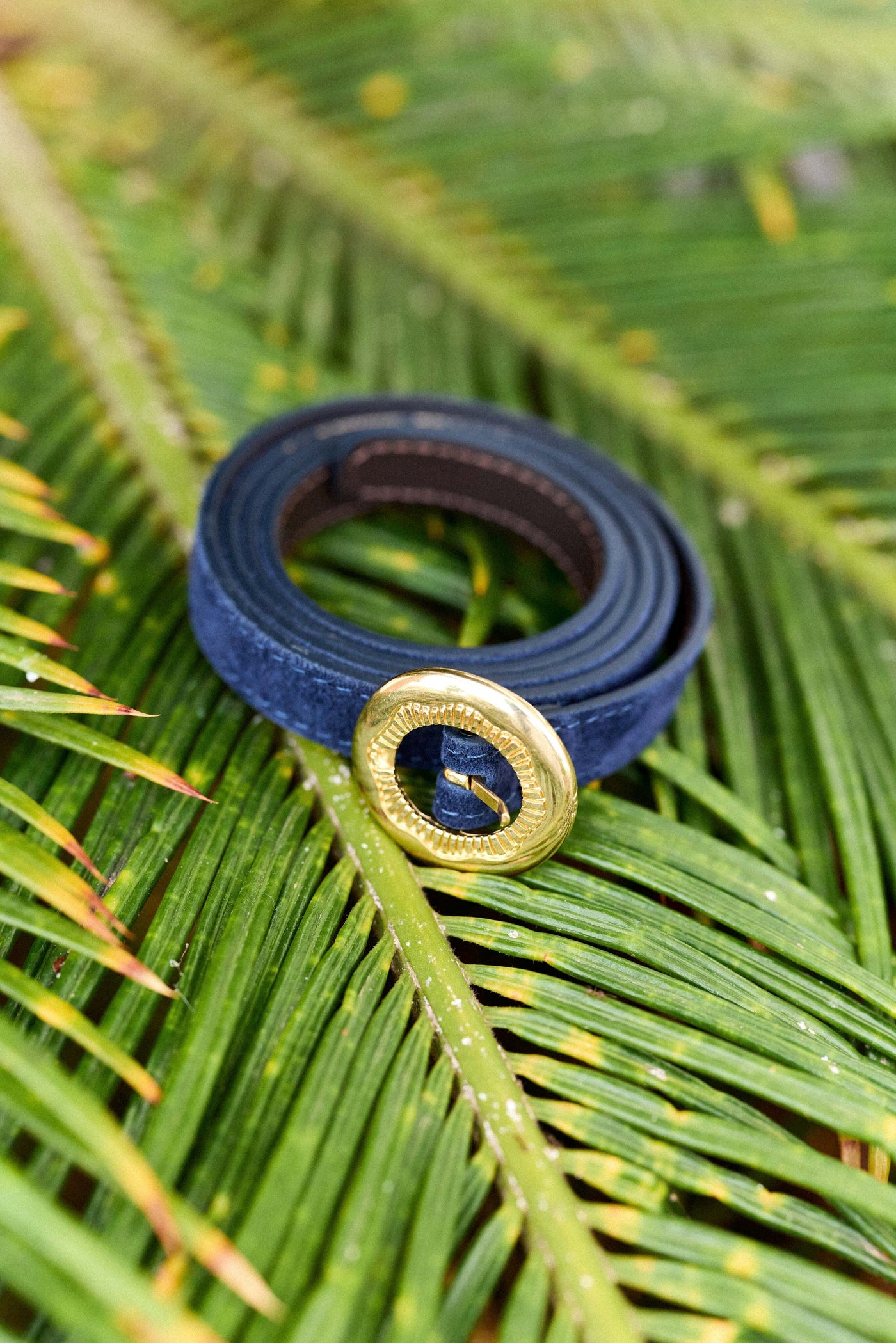 Ceinture Arlowa - Marine