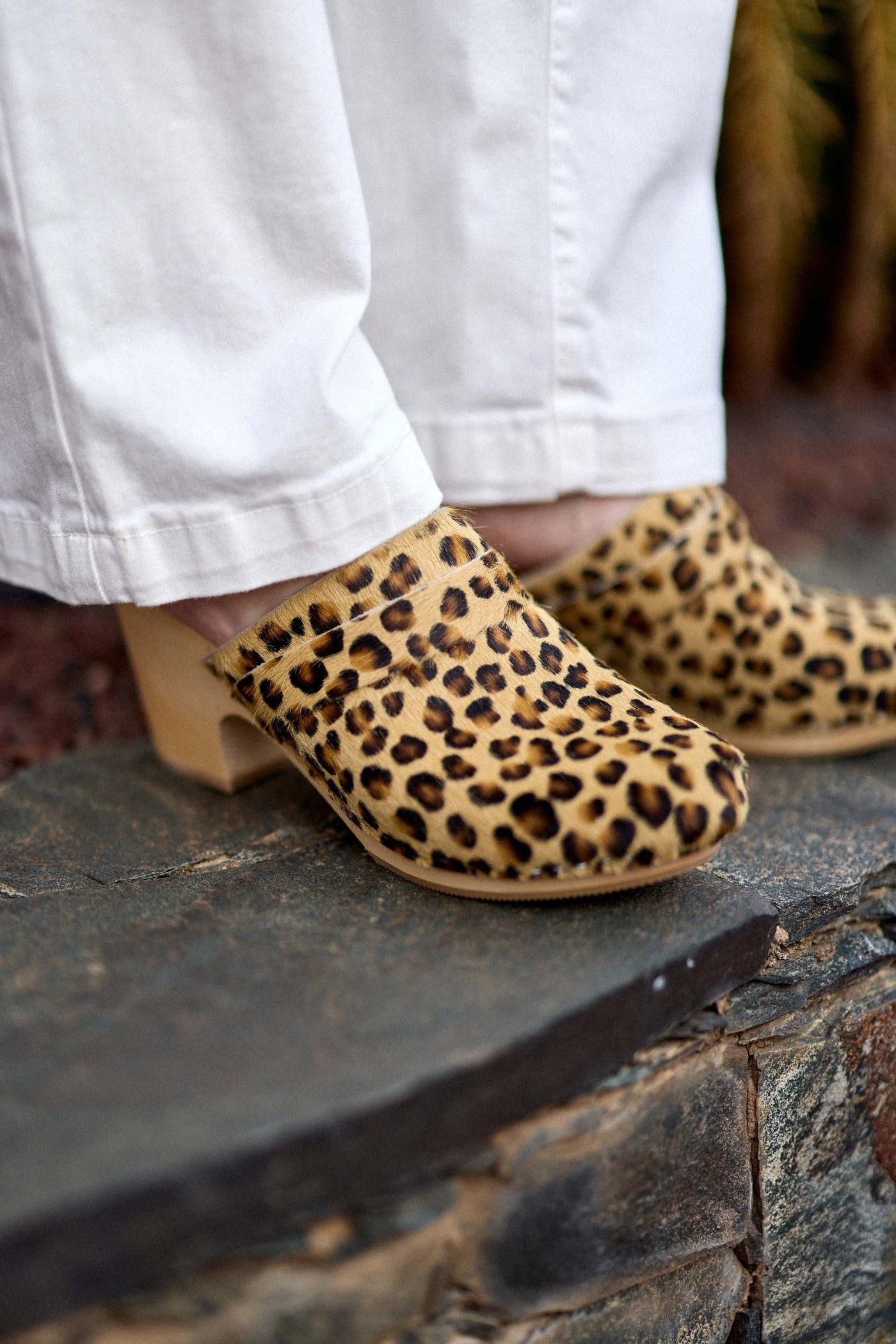 Leopard leather clogs - Gabriel