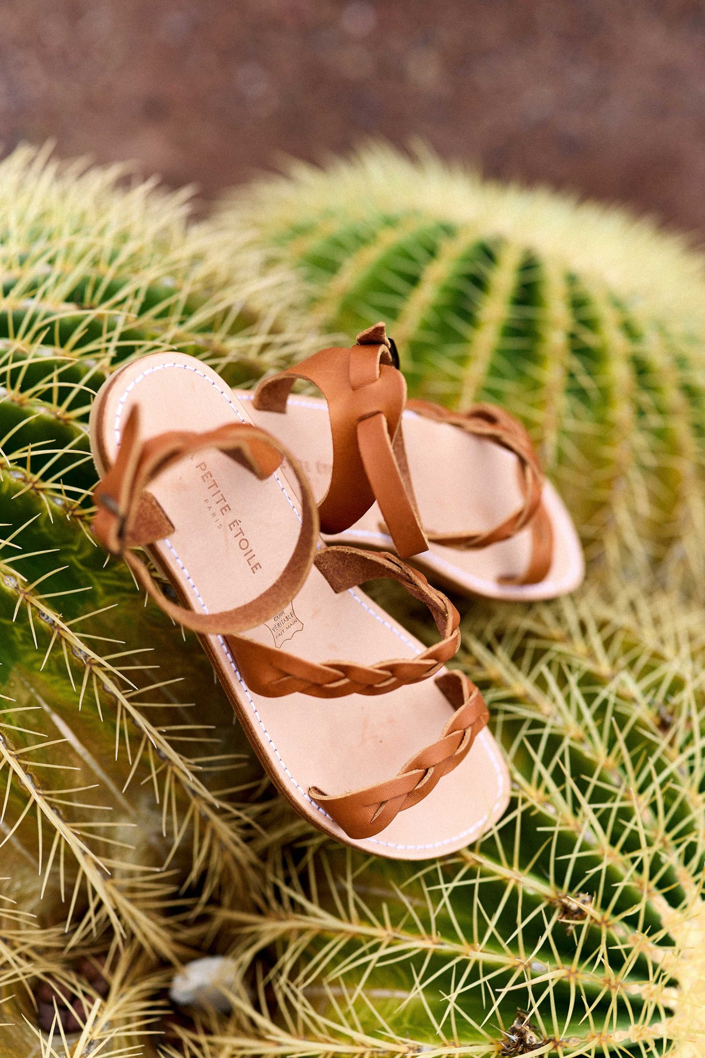 Camel braided leather gladiators - Gaetan