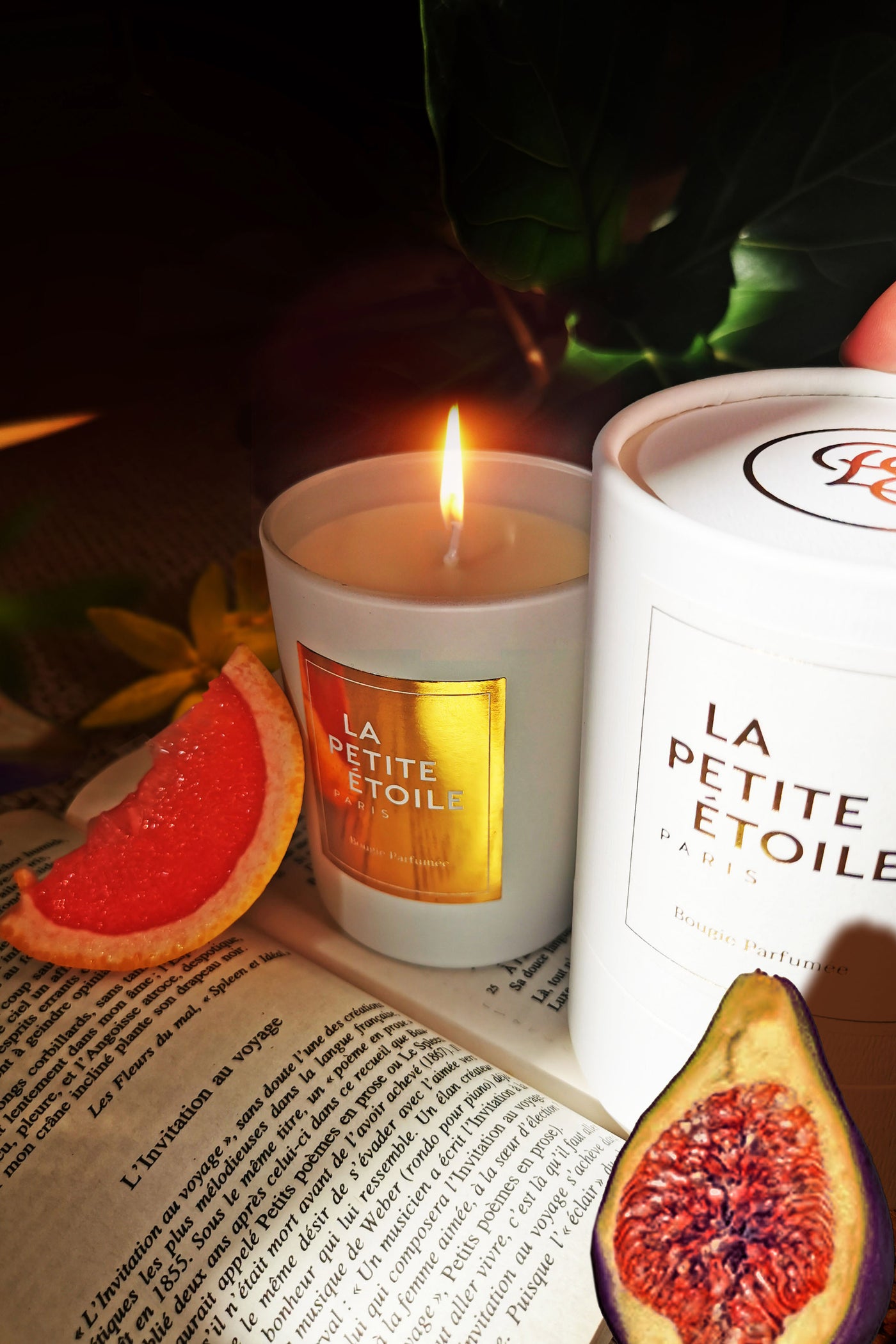 Lpe candle Bougie Lpe - Signature
